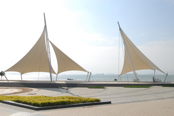 青岛肺炎疫情（青岛肺炎疫情分布图）